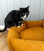 Ziva Hexagon Hundeseng - Okergul  (14-522262)