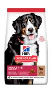 Hill's Hill's Science Plan Large Breed Adult, Lam & Ris Tørrfôr til Hund - 12kg