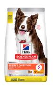 Hill's Hill's Science Plan Perfect Digestion Medium Adult, Kylling & Brun Ris Tørrfôr til Hund - 12kg