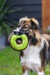 Fruity Donuts Hundeleke,  1stk - 12cm (51-617023)