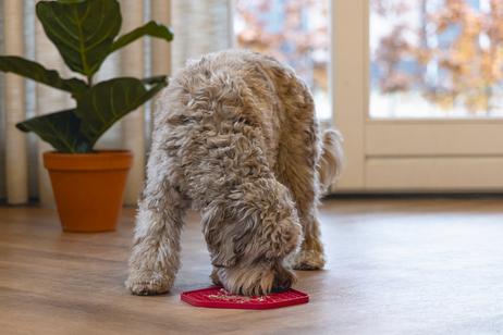 Slikkematte Hexagon, Rosa - 23cm (51-626873)