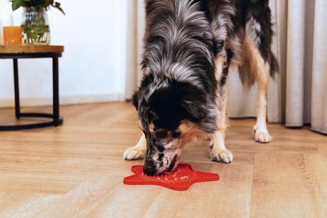 Slikkematte Sjøstjerne,  Rosa - 24cm (51-626872)