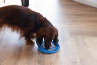 Slikkematte Pizza, Blå - 18cm (51-626871)