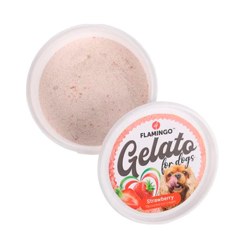 Snack Gelato Iskrem Jordbærsmak - 40g (14-523405-jorb)