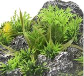 Akvariedekorasjon Stein med Planter - 23cm (14-410350)