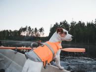 Hurtta Life Savior ECO Redningsvest - Orange (16-H934273-1500062690)