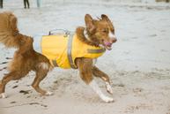 Hurtta Life Savior ECO Redningsvest - Orange (16-H934273-1500062690)