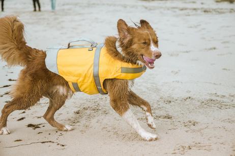 Hurtta Life Savior ECO Redningsvest - Orange (16-H934273-1500062690)