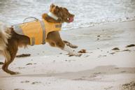 Hurtta Life Savior ECO Redningsvest - Orange (16-H934273-1500062690)