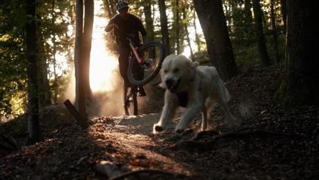 Tractive GPS XL til Hund - Adventure Edition (TRDOG4XLRUG)