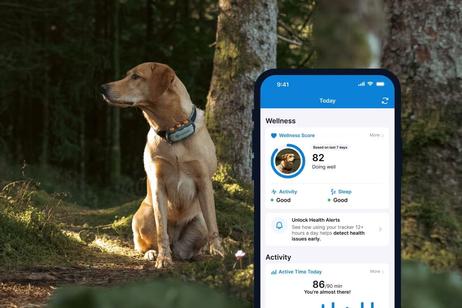 Tractive GPS XL til Hund - Adventure Edition (TRDOG4XLRUG)