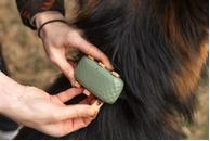 Tractive GPS XL Klips til Halsbånd, Brun - 3stk (TRDOG4XLCBR)