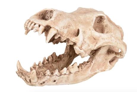  Akvariedekorasjon Hodeskalle - 24cm