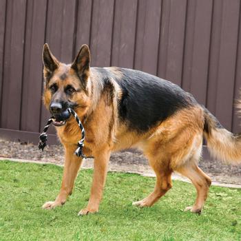 Kong Extreme Ball med Tau (14-523030)