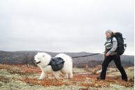 Non-stop Kjørestrikk Touring Bungee Regulerbart (44-1633)