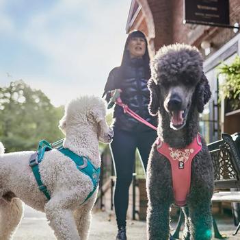 Hurtta Justerbart Kobbel ECO - Rosa (16-H934199-1500069745)