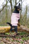 Designed by Lotte Haida Strikkegenser,  Rosa  (51-766670-1500076598)