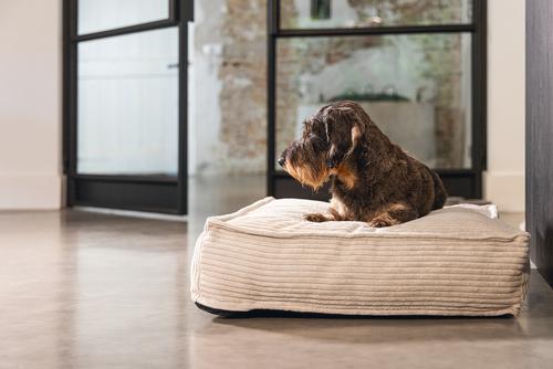 Designed by Lotte Hundemadrass i Ribbestoff - Grå (51-716114)
