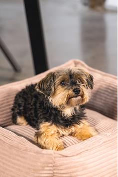 Designed by Lotte Hundeseng i Ribbestoff - Rosa (51-716165-1500018598)