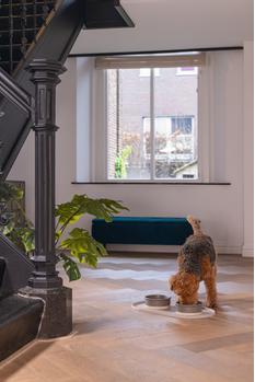 Designed by Lotte Keramikk Matskål - Grå (51-651500-1500064561)