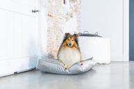 Designed by Lotte Nalino Hundemadrass - Grå (51-704834-1500019562)