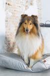 Designed by Lotte Nalino Hundemadrass - Grå (51-704834-1500019562)