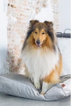 Designed by Lotte Nalino Hundemadrass - Grå (51-704834-1500019562)