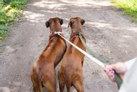 Designed by Lotte Velura Kobbel, Grå (51-746999-1500039465)