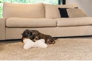 Designed by Lotte Hundebein Pute til Hund, Naturhvit - 35x23x6cm (51-716132)