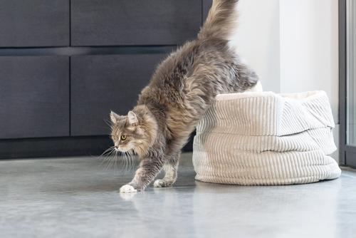 Designed by Lotte Kattekurv i Ribbestoff,  Grå - 35cm (51-716170)