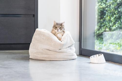 Designed by Lotte Kattekurv i Ribbestoff,  Grå - 35cm (51-716170)