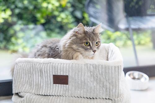 Designed by Lotte Kattekurv i Ribbestoff,  Grå - 35cm (51-716170)