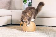 Designed by Lotte Kloreglobe med Leke til Katt (51-409155)