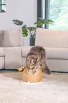 Designed by Lotte Kloreglobe med Leke til Katt (51-409155)