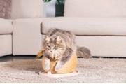 Designed by Lotte Kloreglobe med Leke til Katt (51-409155)