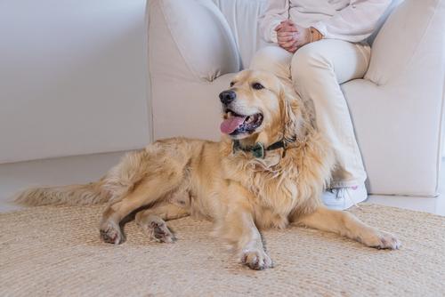 Designed by Lotte Velur Sløyfe, Grønn - 9cm (51-795780)