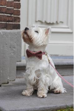 Designed by Lotte Velur Sløyfe, Rosa - 9cm (51-795786)