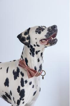 Designed by Lotte Velur Sløyfe, Rosa - 9cm (51-795786)