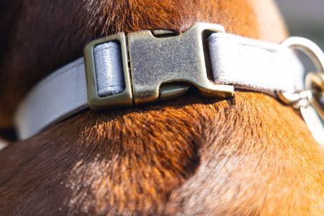 Designed by Lotte Velura Halsbånd, Grå (51-746990-1500046285)