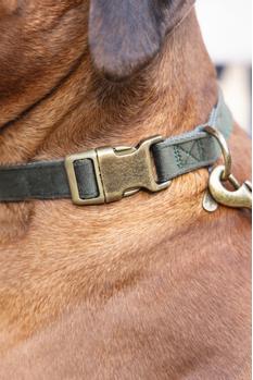 Designed by Lotte Velura Halsbånd, Grønn (51-747045-1500046592)