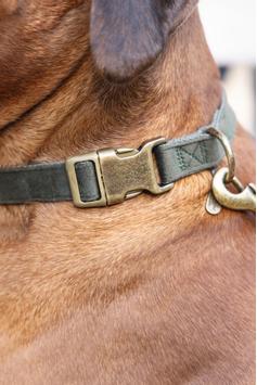 Designed by Lotte Velura Halsbånd, Grønn (51-747048)