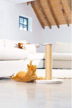 Designed by Lotte Yenna Klorestativ Velur, Grå - 50cm (51-409120)