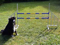  Agility Profi Hopp i Metall PRO-serie