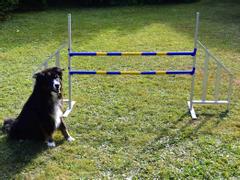  Agility Profi Hopp i Metall PRO-serie