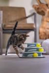 Play Tower til Kattunge, Mint - 25cm (51-440416)