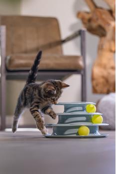 Play Tower til Kattunge, Mint - 25cm (51-440416)