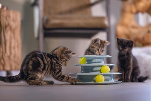 Play Tower til Kattunge, Mint - 25cm (51-440416)