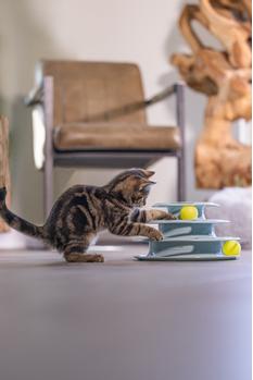 Play Tower til Kattunge, Mint - 25cm (51-440416)