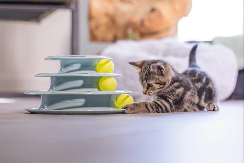 Play Tower til Kattunge, Mint - 25cm (51-440416)