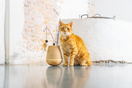 Designed by Lotte Mae Tumble Katteleke - 15cm (51-440720)